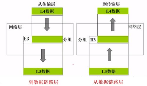 深入了解TCP/IP協(xié)議與計(jì)算機(jī)網(wǎng)絡(luò)體系結(jié)構(gòu)